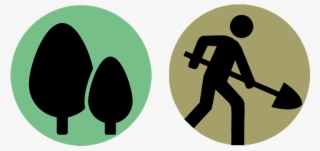 $125 Starts A Grove $50 Gives A Tree - Graphic Design