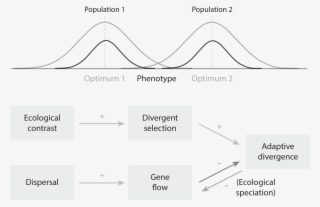 01-04 Hendry Fig - Diagram