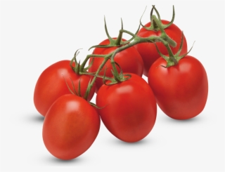 Tomates Prune En Grappe - Tomato Ketchup Manufacturers In India
