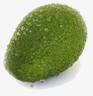 Aguacate Hass - Persian Lime