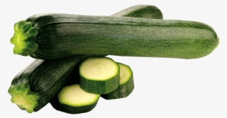 Squash Vegetable