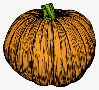 Squash Images - Black And White Pumpkin Drawing