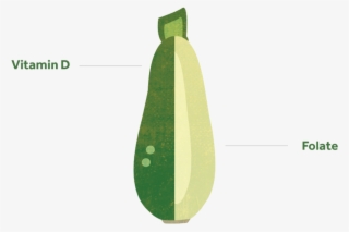 Courgette-01 - Zucchini