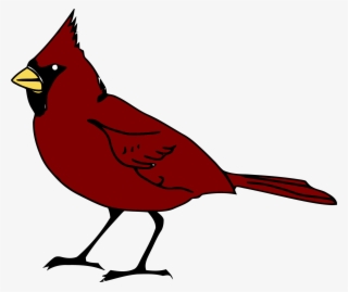 Dark Red Bird Clipart Png - Red Cardinal Yellow Beak