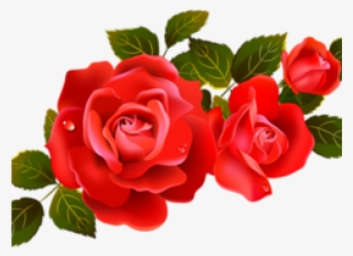 Red Rose Clipart Divider - Rose Flower Hd Png
