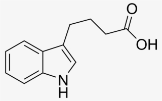 Indolebutyric Acid Structure - Bis Hydroxy Ethylene Terephthalate