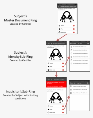 idchainz ring structure - paper