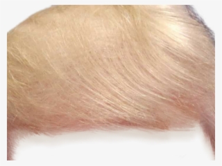 Brown Hair Clipart Toupee - Blond