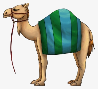 3000 X 3000 2 - Arabian Camel