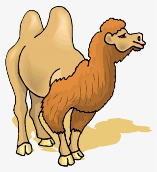 Cute Camel Clipart Funny Pictures - Bactrian Camel Clipart