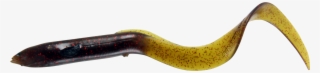Eel, Reptile, Fishing Baits Lures Png Image With Transparent - Grass Snake