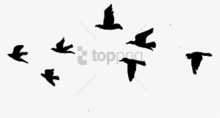 Free Png Download Flying Birds Gif Drawing Png Images - Easy Black Bird Drawing