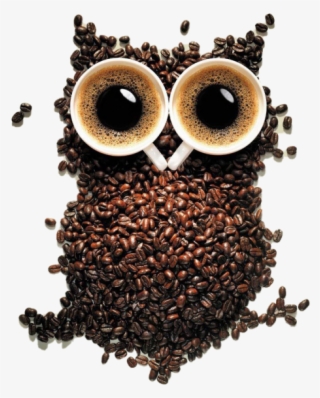 Owl From Coffee - Coffee Owl Png