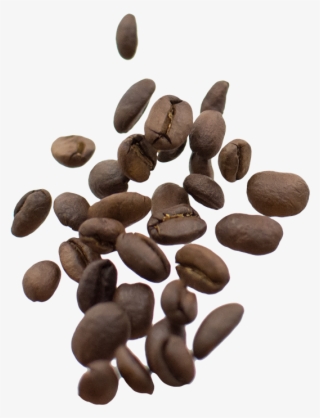 Medium Roast, Coffee, Blends - Seed