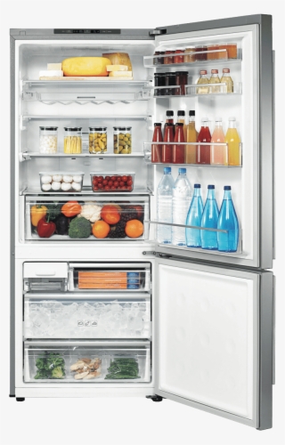 458l Bottom Mount Refrigerator - Samsung 455 Litre Bottom Mount Refrigerator