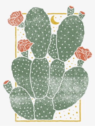 Cactus-01 - Prickly Pear