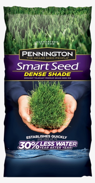 Pennington Shade Grass Seed