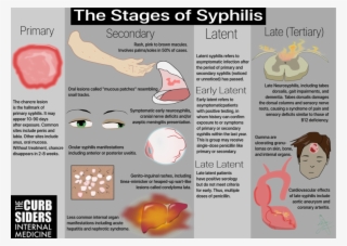 Infographic The Curbsiders 127 Stis Stages Of Syphilis - Syphilis Stages