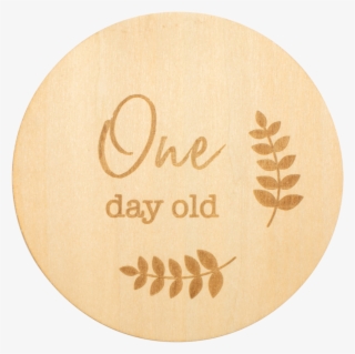 One Day Old Milestone Disc - Goplay