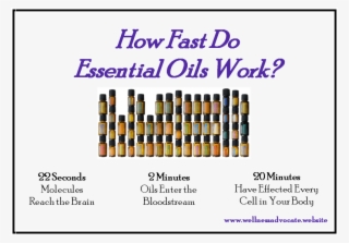 Doterra Essential Oil Wellness Advocate - Long Does It Take For Essential Oils