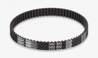 Timing Belts - Courroie Sym Orbit 50