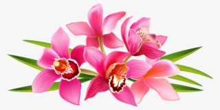 Orchid - Flores Pequeñas Png
