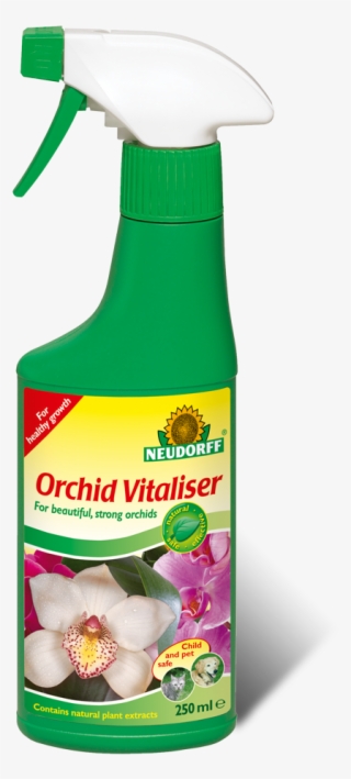 Insecticide