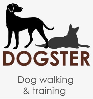 1500 X 1500 3 - Dog Training