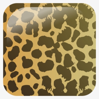 Open - Cheetah