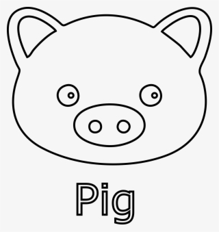 Pig Face - Domestic Pig