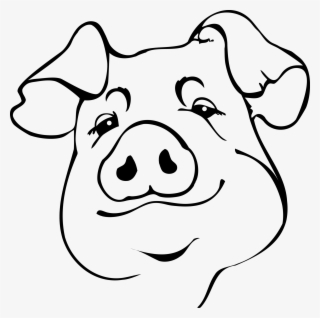 Full Size Of How To Draw An Easy Pig Face A Cute Drawing - Drawing