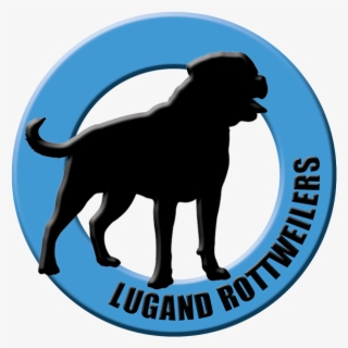 Lugand Rottweilers - Dog Catches Something