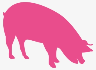 vigorous piglets and finishers - icon piglets