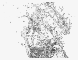 Free Png Water Splash Effect Png Png Image With Transparent - Sketch