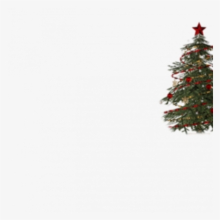 Christmas Tree Png - Merry Christmas Tree Png File