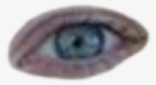 #blue #eye #aesthetic #png #eyes #niche - Close-up