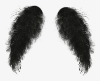 Wings Sticker - Monochrome