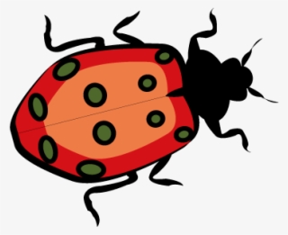 Playa Png - Bug