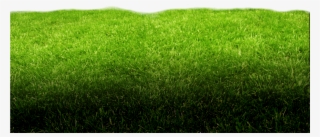 Green Footer Bg - Lawn