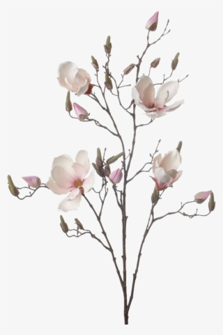 Branch Drawing Ubisafe Flowermagnolia Sticker By Aam - Artificial Flower