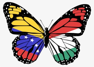 Transparent Butterfly Png Hd