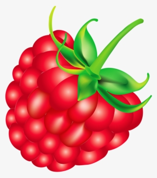 Rapsberry Clipart Fruit Salad - Raspberry Cartoon Png