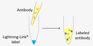 Lightning-link Process Diagram - Diagram
