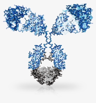 Biontech Swallows Mab Discovery Antibody Unit - Illustration