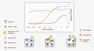 Assay Binding Performance - Cartoon