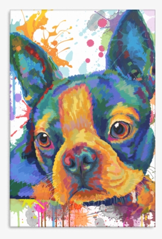 Boston Terrier Canvas - Colourful Splashes