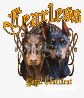 Dobermann