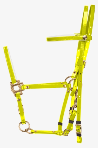 Home / Horse Bridles - Bicycle Frame