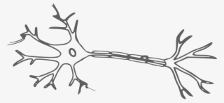 Vector - Neuron Clipart