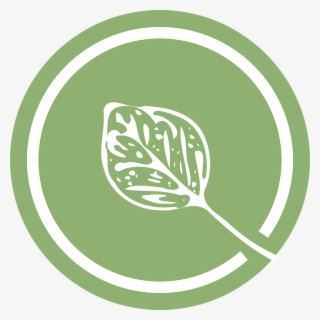 Leaf Green Logo &183 Free Vector Graphic On Pixabay - Leaf